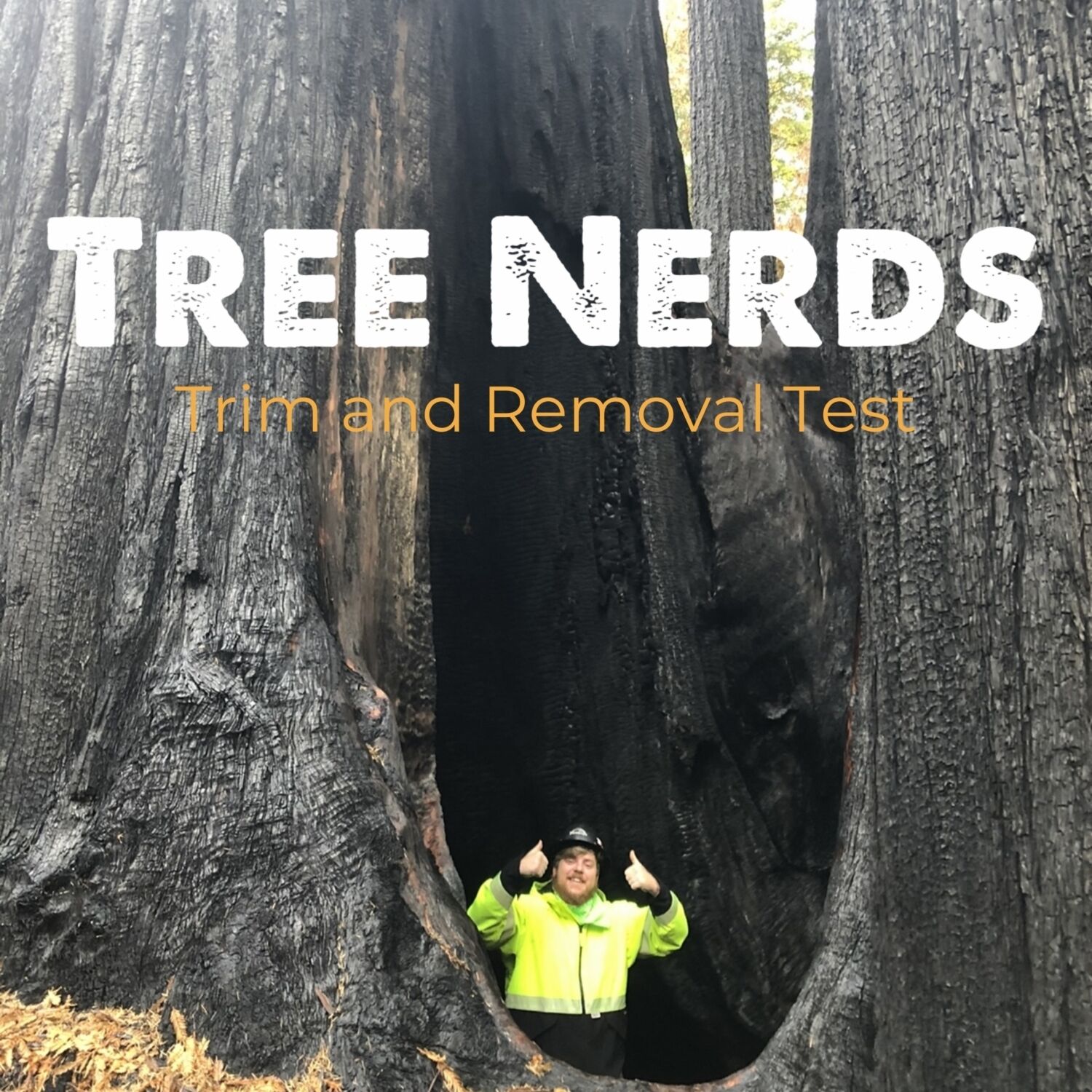 Treetest